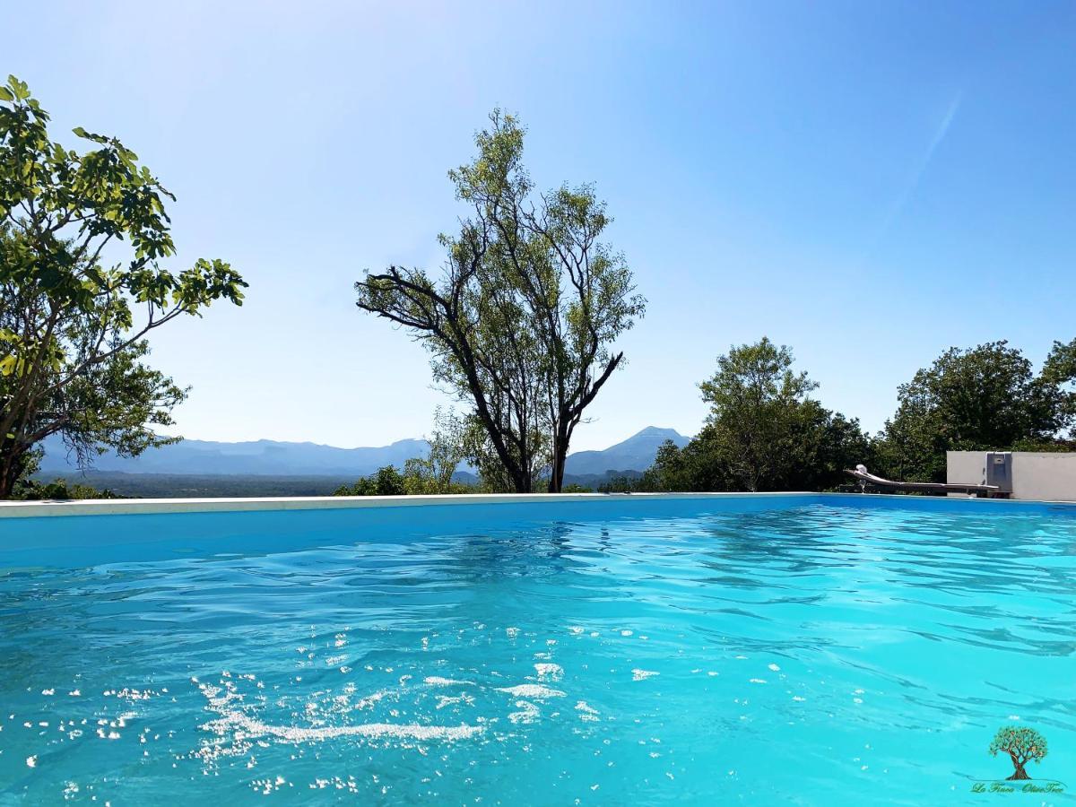 La Finca Olivetree Katuni Bagian luar foto