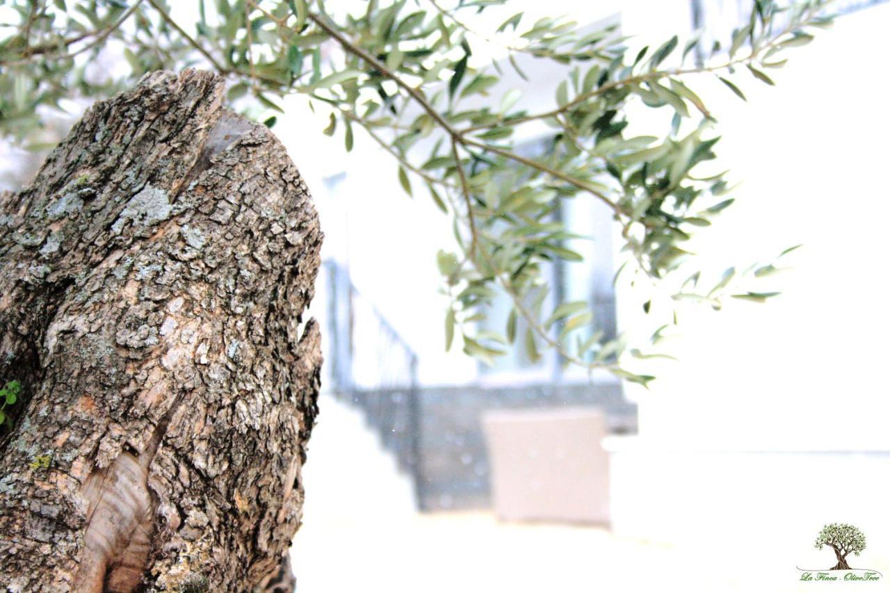 La Finca Olivetree Katuni Bagian luar foto